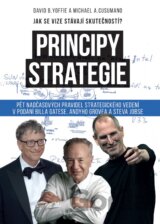 Principy strategie