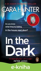 In The Dark