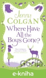 Where Have All the Boys Gone?