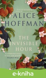The Invisible Hour