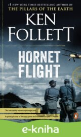 Hornet Flight