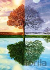 The seasons tree