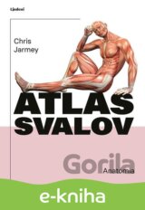 Atlas svalov - anatómia