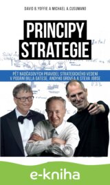 Principy strategie