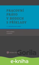 Pracovní právo v bodech s příklady