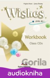 Wishes B2.1 Workbook CD (4)