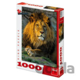 Zamyšlený lev - Puzzle 1000 dílků