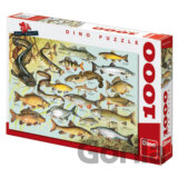 Ryby - puzzle 1000 dílků