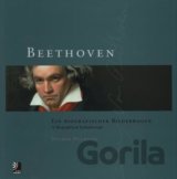 Beethoven Biographical Kaleidoscope