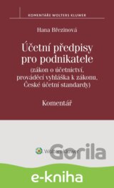 Účetní předpisy pro podnikatele