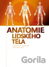 Anatomie lidského těla