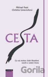 Cesta (český jazyk)
