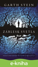 Záblesk svetla