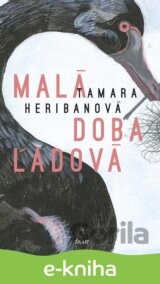 Malá doba ľadová
