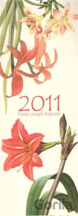 Kalendář nástěnný 2011