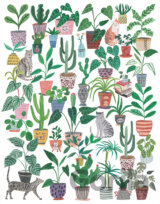 Mačky a rastliny