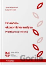 Finančno - ekonomická analýza