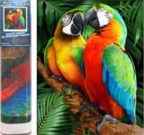 Diamantové malování Barevní papoušci