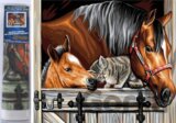 Diamantové malování Koně s kočkou