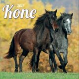 Kone 2017