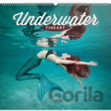 Kalendář nástěnný 2017 - Underwater Fineart/Lucie Drlíková