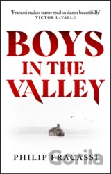 Boys In The Valley