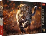 Foto Odysea: Divoký leopard