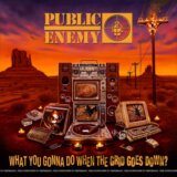 Public Enemy: What You Gonna Do When the Grid Goes Down? LP