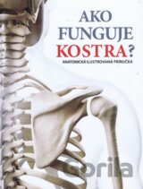 Ako funguje kostra?