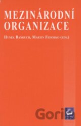 Mezinárodní organizace