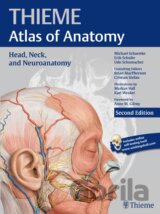 Thieme Atlas of Anatomy: Head, Neck and Neuroanatomy