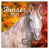 Nástenný poznámkový kalendár Horses (Kone) 2025