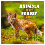 Nástenný poznámkový kalendár Animals of the forest (Zvieratká z lesa) 2025