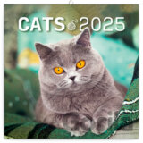 Nástenný poznámkový kalendár Mačky 2025