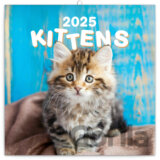 Nástenný poznámkový kalendár Kittens (Mačiatka) 2025