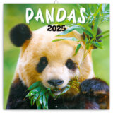 Nástenný poznámkový kalendár Pandas (Pandy) 2025