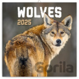 Nástenný poznámkový kalendár Wolves (Vlky) 2025