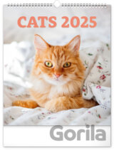 Nástenný kalendár Cats (Mačky) 2025