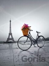 Romantic promenade in Paris
