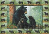 Medvedia rodina