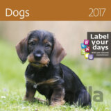 Kalendář nástěnný 2017 - Dogs