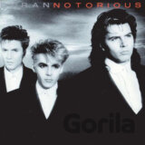 Duran Duran: Notorious (2010 Remaster) LP