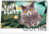 NOTIQUE Stolový kalendár Kočky – Mačky 2025