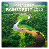 NOTIQUE Nástenný poznámkový kalendár Amazing rainforest (Dažďové pralesy) 2025