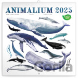 NOTIQUE Nástenný poznámkový kalendár Animalium 2025