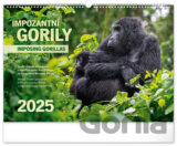 NOTIQUE Nástěnný kalendář Impozantní gorily 2025