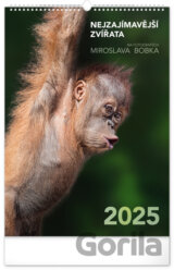 NOTIQUE Nástěnný kalendář Nejzajímavější zvířata 2025