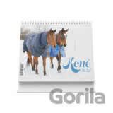 Koně 2025 - stolní kalendář