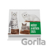 Kočky a koťata 2025 - stolní kalendář