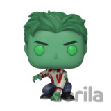 Funko POP TV: Titans S1 - Beast Boy